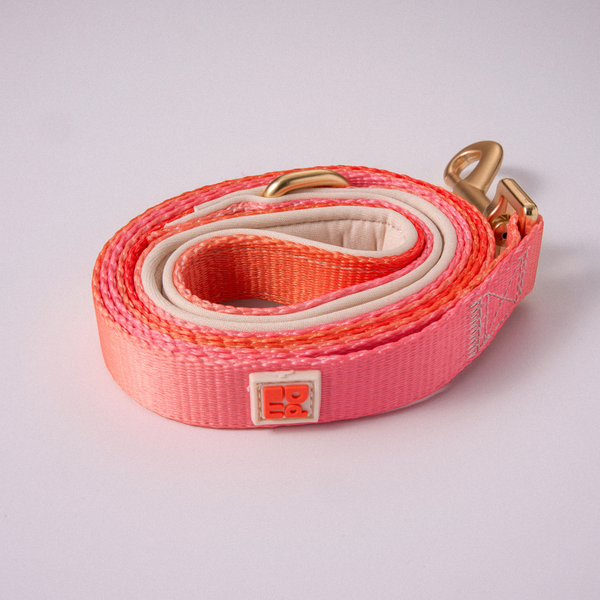 A coiled pink and orange woven webbing lead with a gold metal D-ring and a small square brand patch reading 'MPA' on a light gray background.