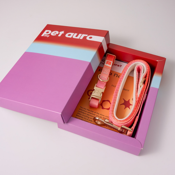 A pink and orange pet collar set presented in a purple and red gift box. The set includes a pink collar with a gold-tone clasp, a matching pink leash with a white strap, and a pink tag, all neatly arranged inside the packaging.