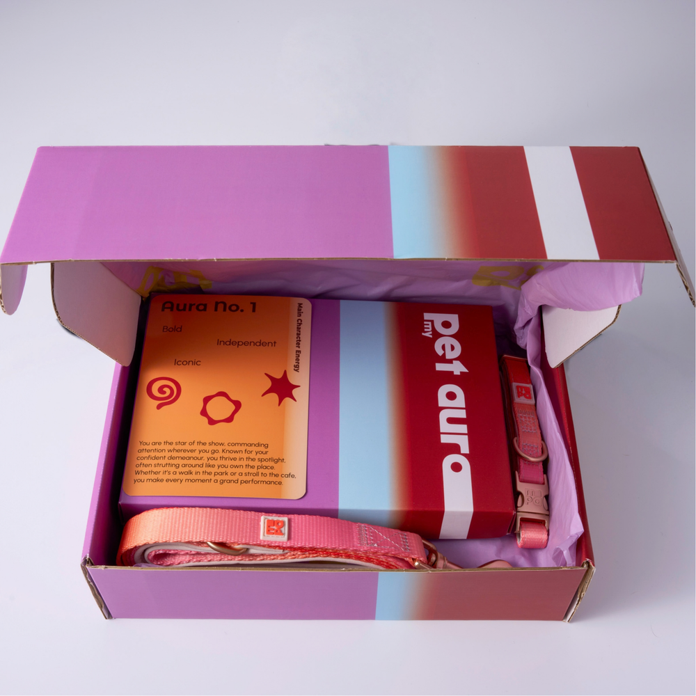 A pet aura complete collection displayed on a white background, featuring a pink dog collar, a pink leash, a purple and pink 'pet aura' box, a small black pouch with 'mpo' printed on it, a booklet, and an orange card labeled 'Aura No. 1'.