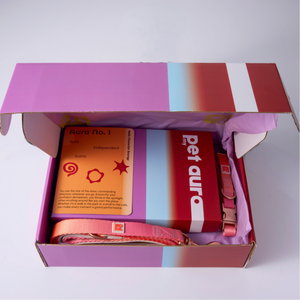 An open gift box containing a pink and red pet collar with a matching pink leash, a red and white Pet Auro box, and a card labeled Aura No. 1, set against a plain light gray background.