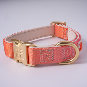 A pink nylon dog collar with gold-tone hardware, featuring a stitched 'MPA' logo on the buckle and a D-ring, displayed on a light gray background.
