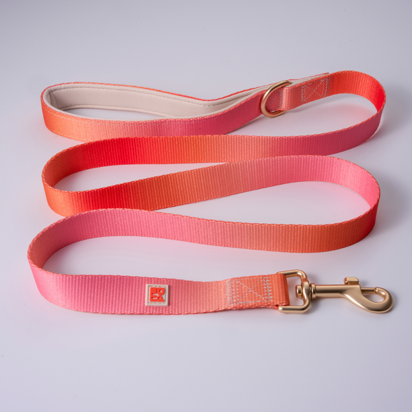 A pink and orange gradient nylon dog leash with a gold-tone metal clasp and a beige padded handle interior, displayed on a light gray background.