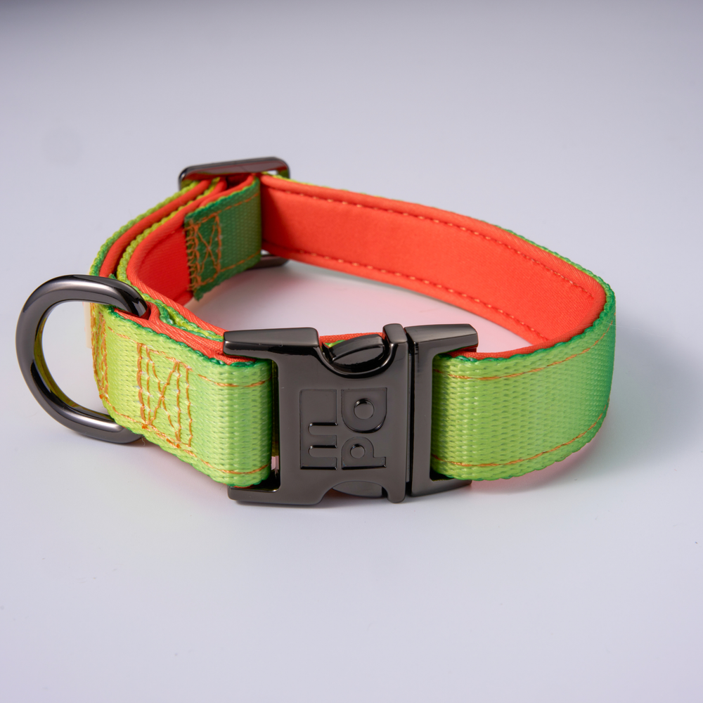 A dog collar with a yellow and green woven pattern, featuring a dark metal quick-release buckle and a D-ring, shown on a light gray background.