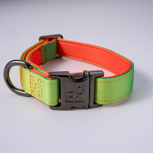 A dog collar with a yellow and green woven pattern, featuring a dark metal quick-release buckle and a D-ring, shown on a light gray background.