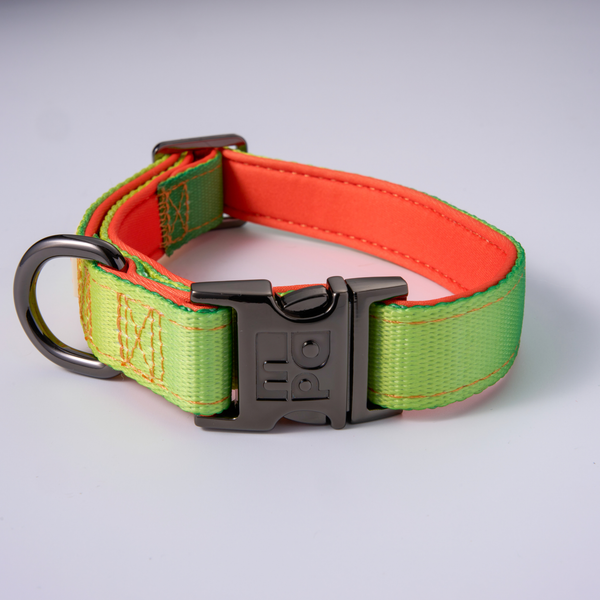 A dog collar with a yellow and green woven pattern, featuring a dark metal quick-release buckle and a D-ring, shown on a light gray background.