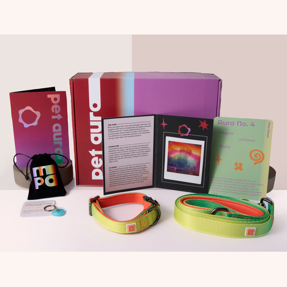 A pet collection displayed on a white background, including a red and purple Pet Aura box, a black drawstring pouch, a small charm, a booklet, and yellow/green dog collars and lead.