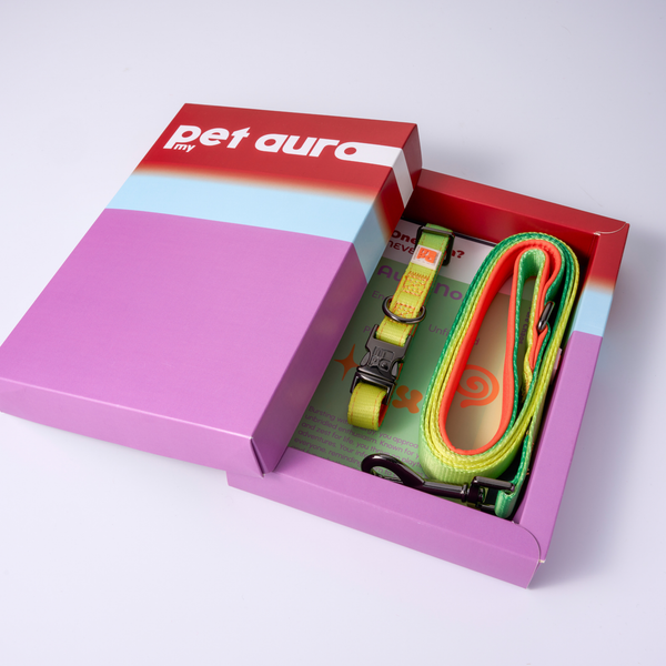 A pet collar and matching leash presented in an open branded gift box. The box lid is pink with a red and light blue top section and the words 'pet aura' visible.