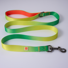 A green and yellow striped fabric dog leash with an orange interior lining, beige metal buckle, and a white square logo patch, shown on a light gray background.