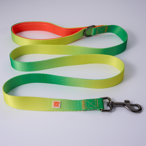A green and yellow striped fabric dog leash with an orange interior lining, beige metal buckle, and a white square logo patch, shown on a light gray background.