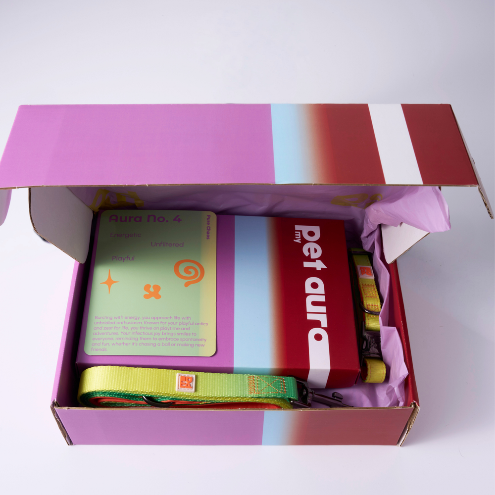 A pet collection displayed on a white background, including a red and purple Pet Aura box, a black drawstring pouch, a small charm, a booklet, and yellow/green dog collars and lead.